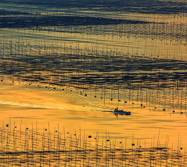 養雞基地恒溫解決方案