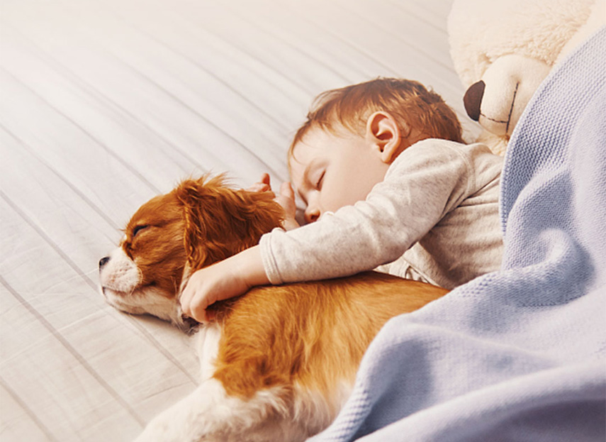 空氣能熱水器蒸發器需要清洗嗎？